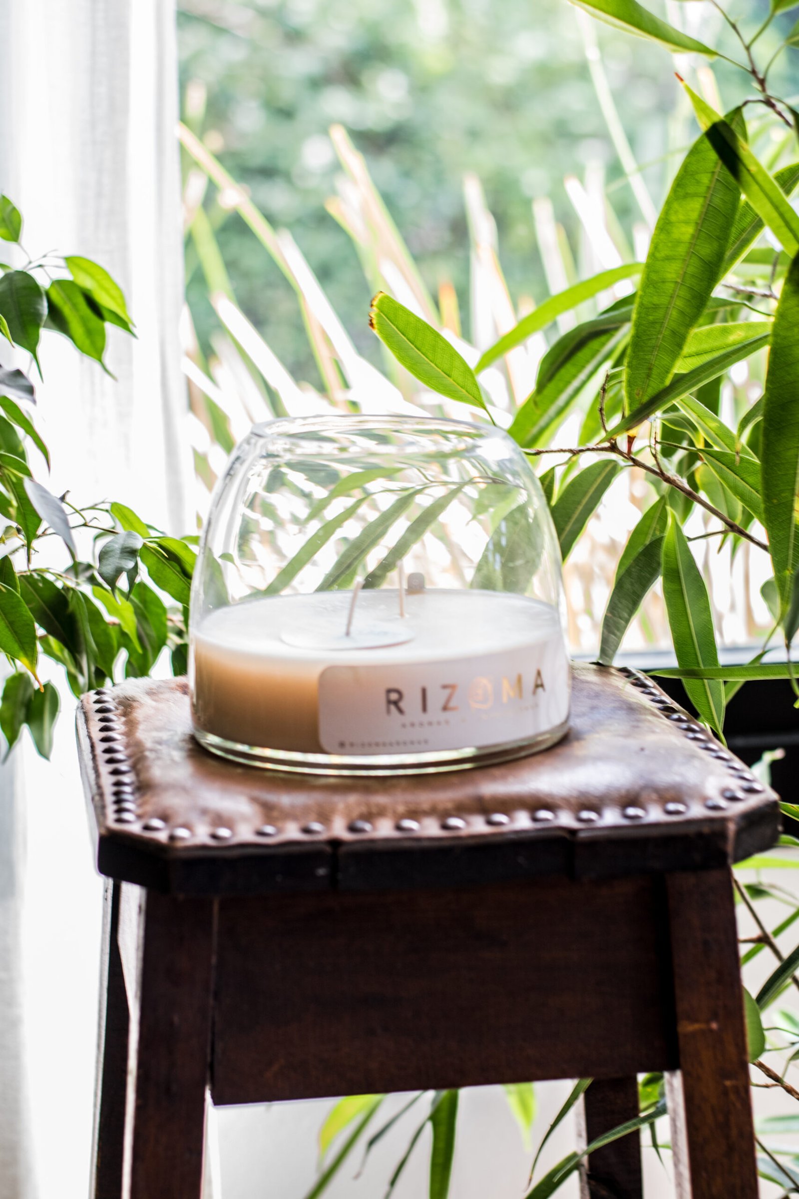 Velas Pecera Rizoma Aromas