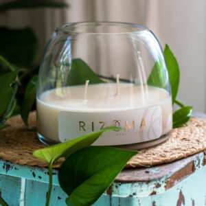 Velas Pecera Rizoma Aromas